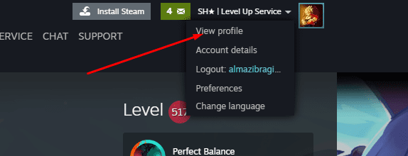 Customizing your Steam Profile - Formatting and adding links to